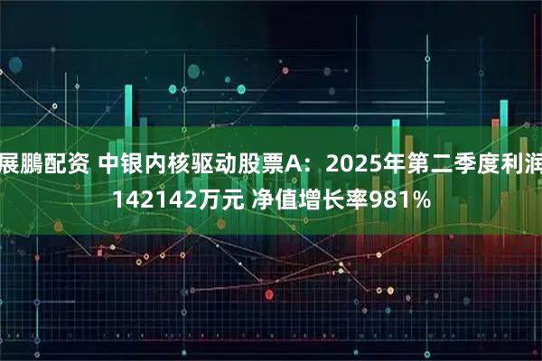 展鵬配资 中银内核驱动股票A：2025年第二季度利润142142万元 净值增长率981%